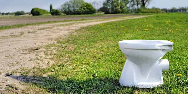 Eine Keramiktoilette in einer Landschaft Eine Keramiktoilette in einer Landschaft