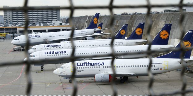 Flugzeuge stehen in Reihe auf einem Flughafen Flugzeuge stehen in Reihe auf einem Flughafen
