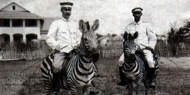 Zwei weiße Männer sitzen auf Zebras Zwei weiße Männer sitzen auf Zebras