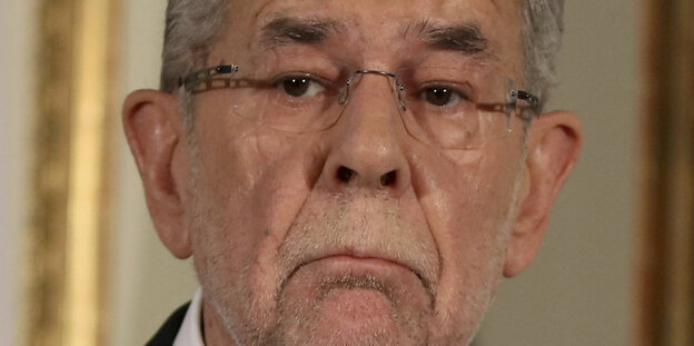 Portrait Van der Bellen Portrait Van der Bellen