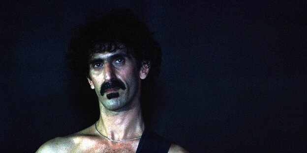 Portrait Frank Zappa Portrait Frank Zappa