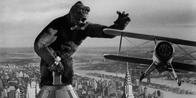 King Kong und ein Flugzeug King Kong und ein Flugzeug