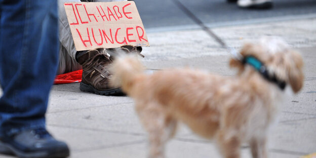 Ein Bettler mit einem Schild auf dem steht: Ich habe Hunger. Davor ein Hund Ein Bettler mit einem Schild auf dem steht: Ich habe Hunger. Davor ein Hund