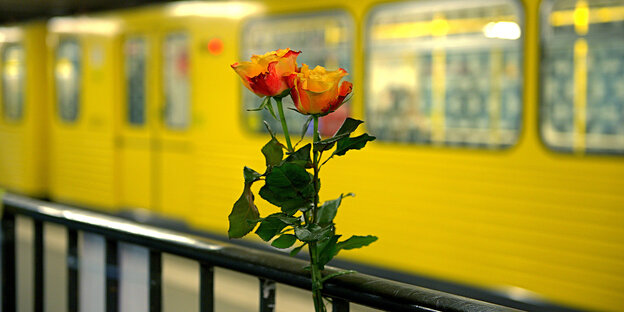 Blumen stecken an einem Geländer, im Hintergrund eine gelbe U-Bahn Blumen stecken an einem Geländer, im Hintergrund eine gelbe U-Bahn