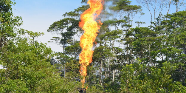 Eine Flamme schießt aus einem Rohr, dahinter Bäume