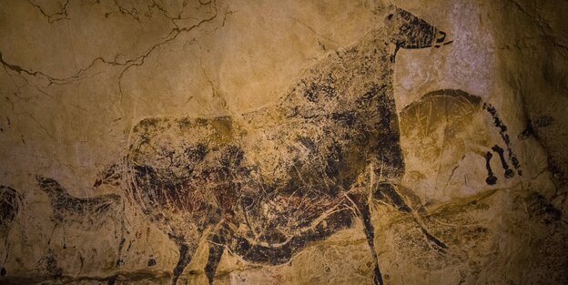 an eine Wand gemalte Tierzeichnungen an eine Wand gemalte Tierzeichnungen