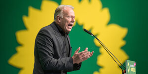 Jürgen Trittin am Rednerpult vor dem riesigen Parteiemblem der Sonnenblume