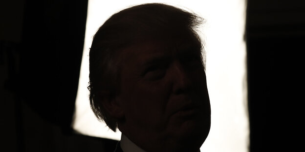 Donald Trumps Antlitz im Gegenlicht Donald Trumps Antlitz im Gegenlicht