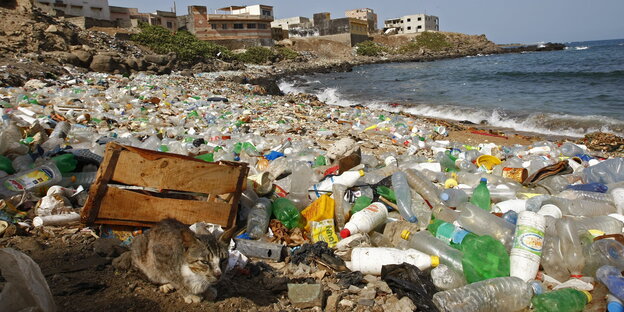 Unzählige Plastikflaschen liegen auf einem Strand Unzählige Plastikflaschen liegen auf einem Strand