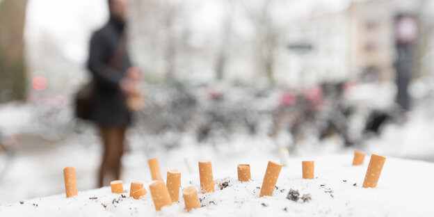 Zigarettenstummel stecken im Schnee Zigarettenstummel stecken im Schnee