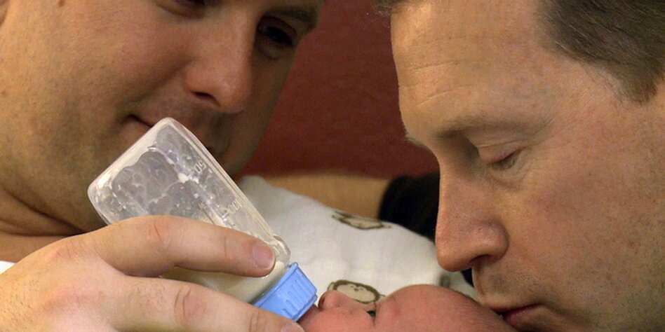 politik inland adoption homosexuelle kinder bild politik inland adoption homosexuelle kinder bild