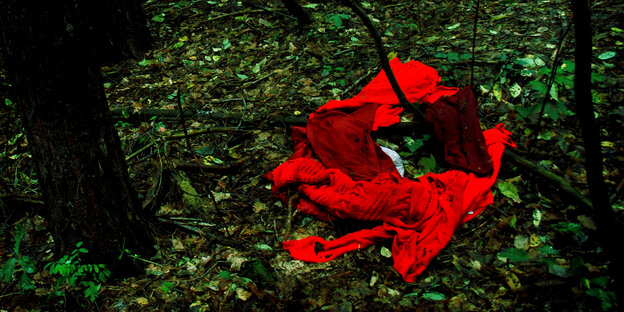 In einem grünen Waldstück liegt ein rotes Kleidungsstück In einem grünen Waldstück liegt ein rotes Kleidungsstück
