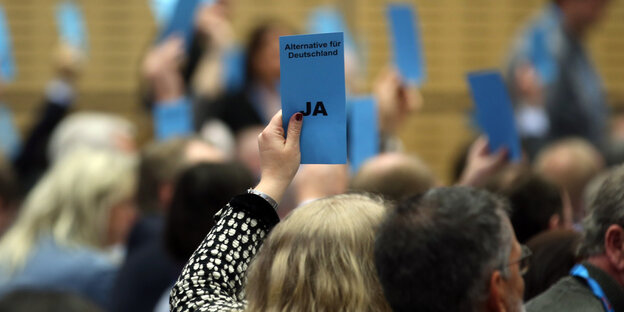 Menschen halten blaue Stimmkärtchen nach oben Menschen halten blaue Stimmkärtchen nach oben