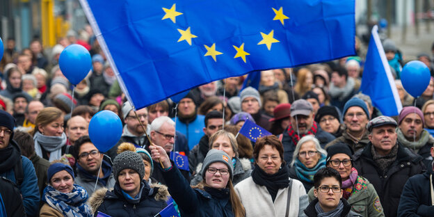 Teilnehmer einer Pro-EU-Demo Teilnehmer einer Pro-EU-Demo
