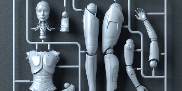 Plastik-Montagesatz für einen weiblichen Androiden Plastik-Montagesatz für einen weiblichen Androiden