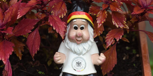 ein Gartenzwerg mit Deutschland-Zipfelmütze und DFB-Trikot zwischen rotem Weinlaub ein Gartenzwerg mit Deutschland-Zipfelmütze und DFB-Trikot zwischen rotem Weinlaub