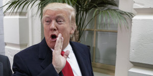Trump hält die Hand als würde er flüstern. Sein Mund sieht aus, als würde er rufen