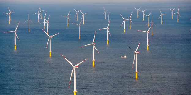 Windkraftanlagen in der Nordsee Windkraftanlagen in der Nordsee