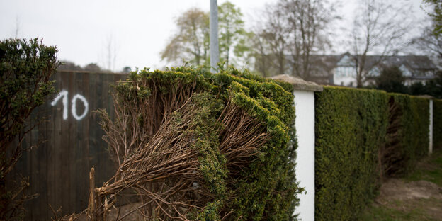 Eine zerstörte Hecke Eine zerstörte Hecke