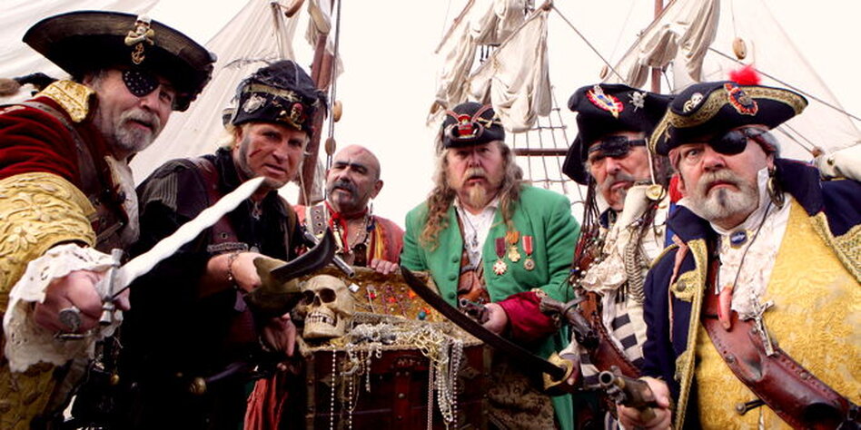 Kolumne Nullen und Einsen Piraten oder Ninjas? taz.de