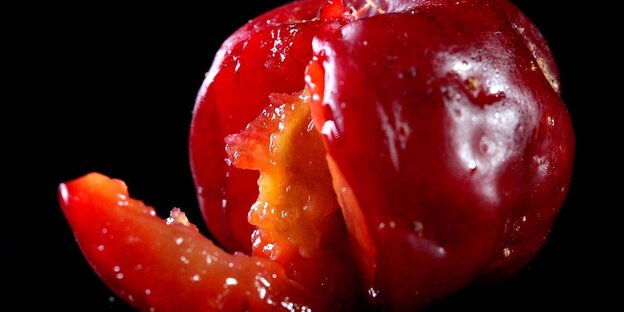 Eine rote, angeschnittene Acerola-Kirsche in einer Nahaufnahme Eine rote, angeschnittene Acerola-Kirsche in einer Nahaufnahme
