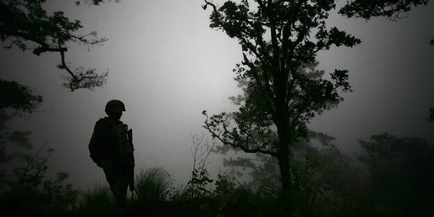 Ein Mann mit Maschinengewehr im Nebel. Aufgenommen in der von Banden kontrollierten Region Tierra Caliente