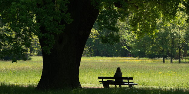 Eine Frau sitzt in einem Park in Dresden auf einer Bank Eine Frau sitzt in einem Park in Dresden auf einer Bank
