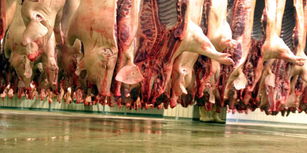 Schweinehälften im Schlachthaus Schweinehälften im Schlachthaus
