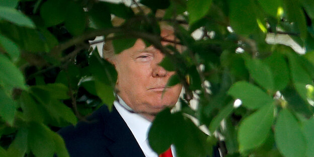 Ein blonder Mann im Anzug blick durch einen Strauch Ein blonder Mann im Anzug blick durch einen Strauch