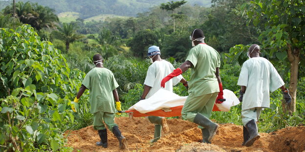 Mitglieder des Roten Kreuzes von Guinea tragen einen mit Ebola infizierten Leichnam über den Friedhof von Gueckedou, Guinea Mitglieder des Roten Kreuzes von Guinea tragen einen mit Ebola infizierten Leichnam über den Friedhof von Gueckedou, Guinea