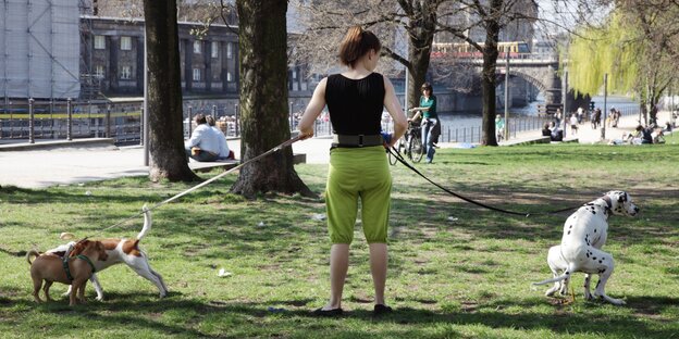 Frau mit Hunden an der Leine auf einer Wiese