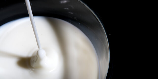 In ein Glas fließt Milch In ein Glas fließt Milch