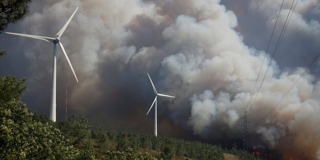 zwei Windräder vor einem brennenden Wald mit starker Rauchentwicklung