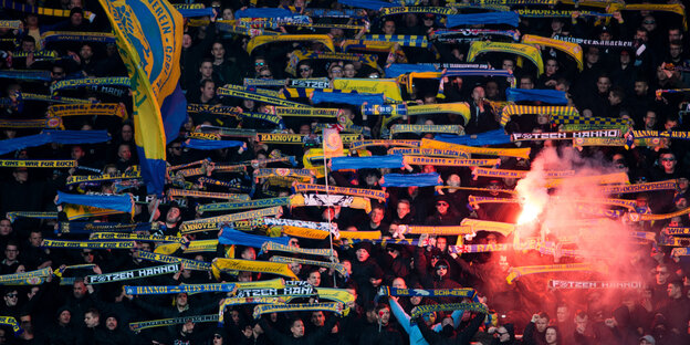 Fans von Eintracht Braunschweig im Stadion Fans von Eintracht Braunschweig im Stadion