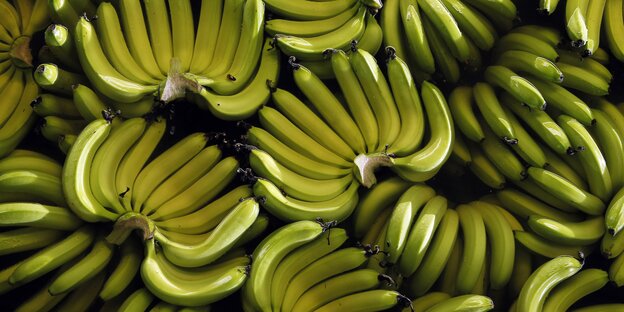 Jede Menge Bananen Jede Menge Bananen