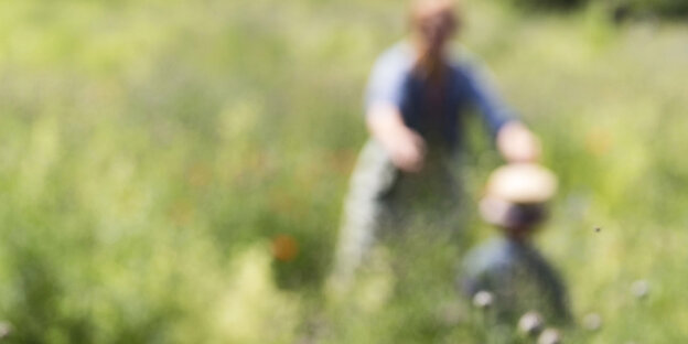Eine Mutter spielt mit einem Kind auf der Wiese. Die Personen sind unscharf fotografiert Eine Mutter spielt mit einem Kind auf der Wiese. Die Personen sind unscharf fotografiert