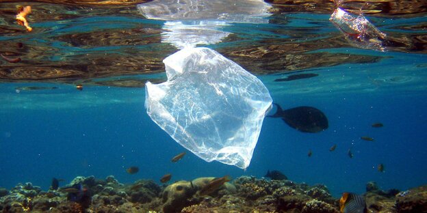 Eine Plastiktüte im Meer