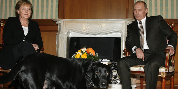 Eine Frau und ein Mann sitzen auf Sesseln, während ein Hund vorbeiläuft