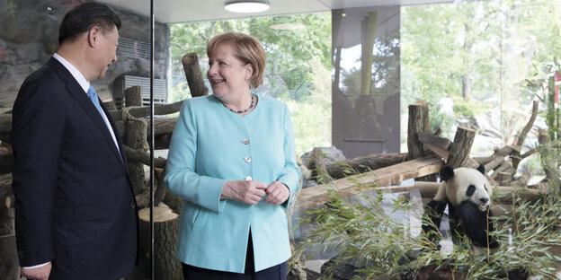 Angela Merkel und Xi Jinping vor dem Käfig der Pandas im Berliner Zoo Angela Merkel und Xi Jinping vor dem Käfig der Pandas im Berliner Zoo