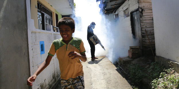 Ein Arbeiter räuchert am 04.07.2017 in Colombo (Sri Lanka) ein Moskito-Nest aus. Sri Lanka leidet derzeit unter einer Epidemie des Denguefiebers mit mehr als 200 Toten. Ein Arbeiter räuchert am 04.07.2017 in Colombo (Sri Lanka) ein Moskito-Nest aus. Sri Lanka leidet derzeit unter einer Epidemie des Denguefiebers mit mehr als 200 Toten.