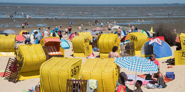 Strandkörbe vor Wattenmeer Strandkörbe vor Wattenmeer