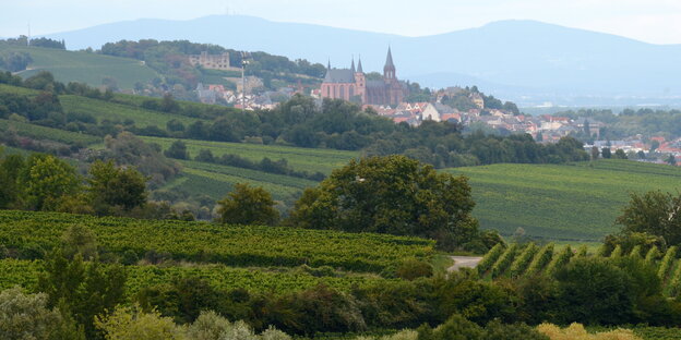 Eine Foto von einer weit entfernten Stadt, um sie herum viele grüne Wiesen und Weinberge Eine Foto von einer weit entfernten Stadt, um sie herum viele grüne Wiesen und Weinberge