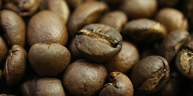 Closeup auf viele Kaffeebohnen Closeup auf viele Kaffeebohnen