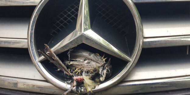 Ein toter Vogel in einem Mercedes-Stern Ein toter Vogel in einem Mercedes-Stern