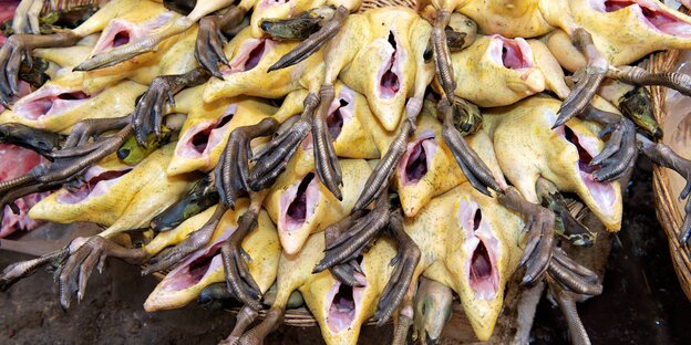 Geschlachtete Enten liegen in einem Korb Geschlachtete Enten liegen in einem Korb