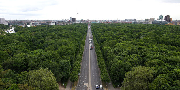 eine Straße, die durch einen Park führt, im Hintergrund der Berliner Fernsehturm eine Straße, die durch einen Park führt, im Hintergrund der Berliner Fernsehturm
