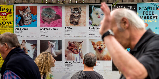 Menschen stehen vor den Plakaten des Festivals Pop-Kultur, auf dem Katzen zu sehen sind Menschen stehen vor den Plakaten des Festivals Pop-Kultur, auf dem Katzen zu sehen sind