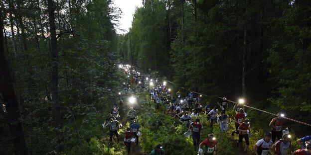Viele Menschen laufen im Wald Viele Menschen laufen im Wald