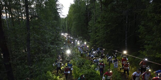 Viele Menschen laufen im Wald