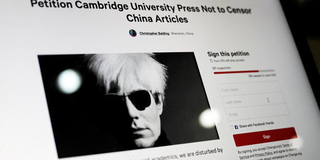 das Porträt von Andy Warhol auf einer Internetseite das Porträt von Andy Warhol auf einer Internetseite